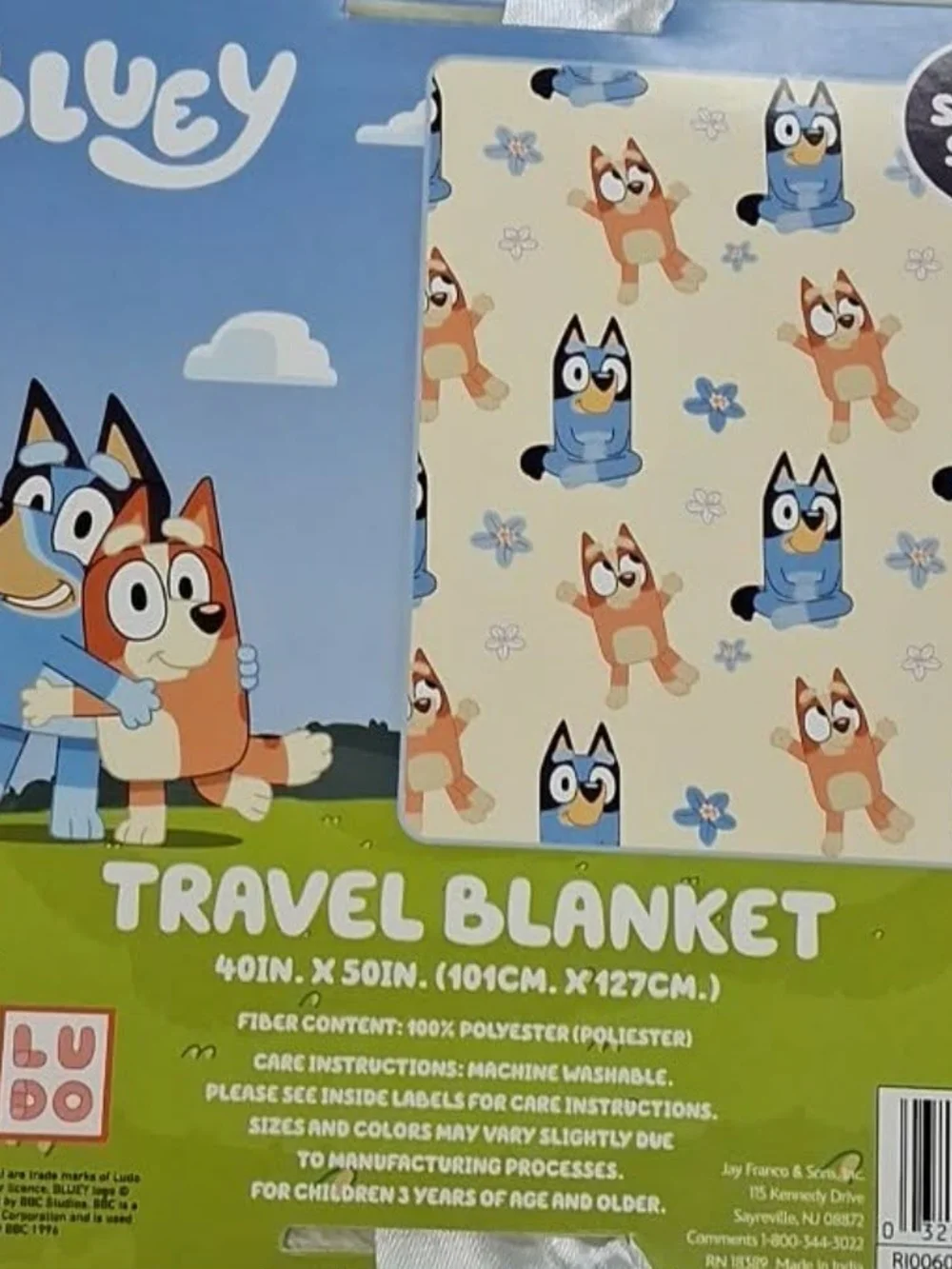 N/A bluey blanket